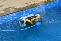 Dolphin E 20