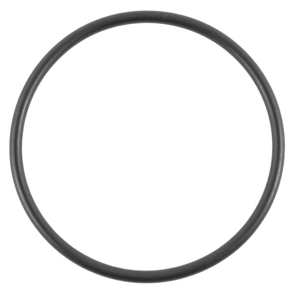 O-krúžok šróbenia 63mm - Badu TOP ( Bettar ) / Delta